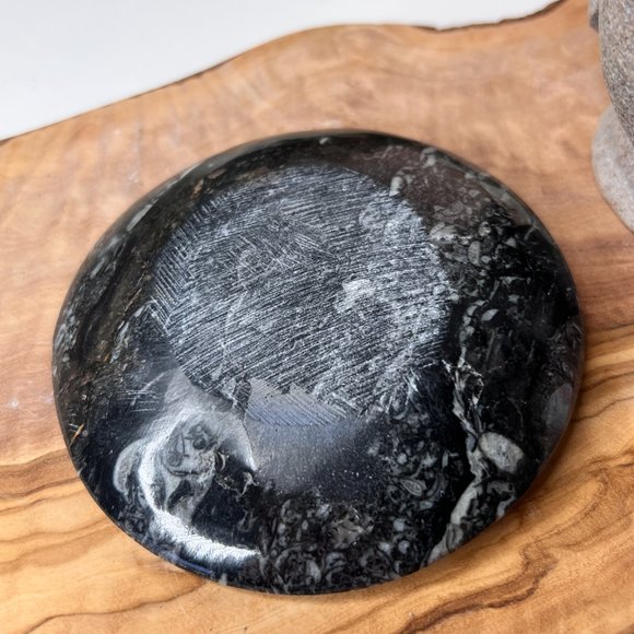 Genuine Orthoceras Fossil - Fossil Oval Ammonite Trinket dish from Morocco - Picture 8 of 11